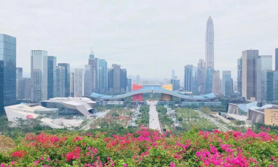 深圳市黨史學(xué)習教育總結會(huì )議召開(kāi) 推動(dòng)黨史學(xué)習教育常態(tài)化長(cháng)效化